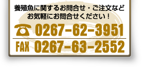 養殖魚に関するお問合せ・ご注文などお気軽にお問合せください！TEL：0267-62-3951／FAX：63-2552