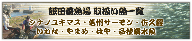 飯田養魚場 取扱い魚一覧：シナノユキマス・信州サーモン・佐久鯉いわな・やまめ・はや・各種淡水魚