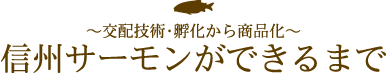 配技術・孵化から商品化【信州サーモンができるまで】