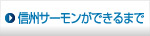 信州サーモンができるまで